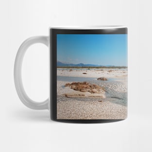 Tagliamento Floodplain Mug